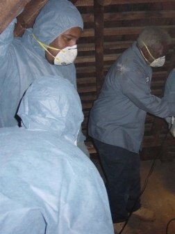 Men in attic